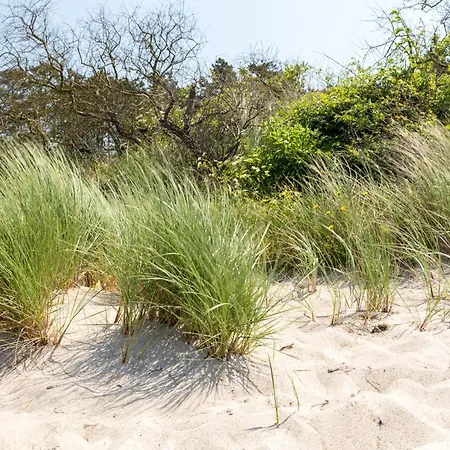 Apartment Schmidt - Strandhaus Direkt Am Mit Sauna, Sport Und Duenengarten Ii *